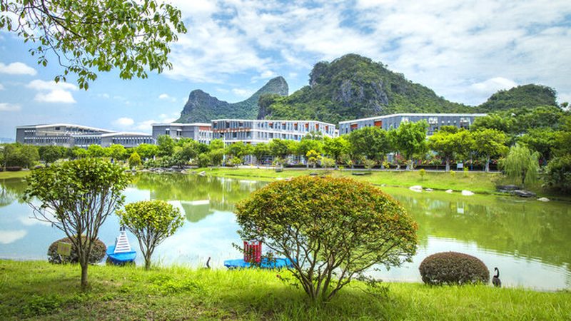 智能家居语音模块的质量直接关系到用户体验，选择厂家时，要关注以下方面：